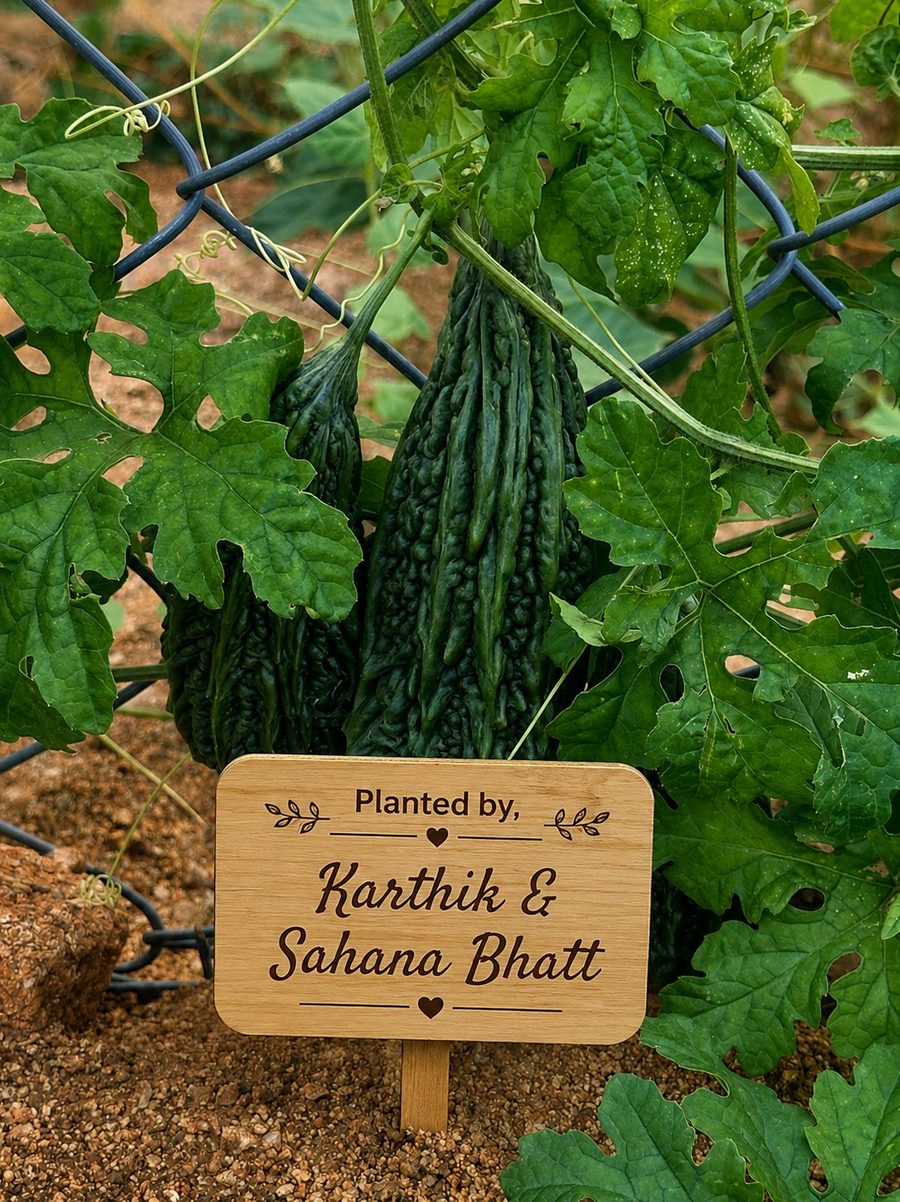Karthik & Sahana Bhatt's tagged bitter gourd vine at Iperfarm